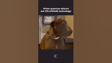 When quantum attacks see CELLFRAME technology  #crypto #cellframe