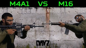 The New M16 Versus the M4A1 in DayZ 1.13 | Stat Comparison