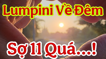 Lumpini Về Đêm - Sợ 11 Quá #dungmapvlog #dungtocdaitv #thichminhtue