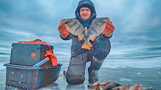 видео: ПОПАЛ НА ВЕЧЕРНИЙ ВЫХОД В ТОРОСАХ!!! ЛОВЛЯ КРУПНОГО ОКУНЯ НА БАЛАНСИР! Зимняя рыбалка 2024. Часть 2. картинка: ПОПАЛ НА ВЕЧЕРНИЙ ВЫХОД В ТОРОСАХ!!! ЛОВЛЯ КРУПНОГО ОКУНЯ НА БАЛАНСИР! Зимняя рыбалка 2024. Часть 2.