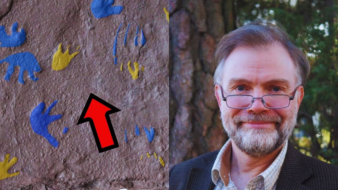 Oldest Reptile Footprints Discovered in Australia