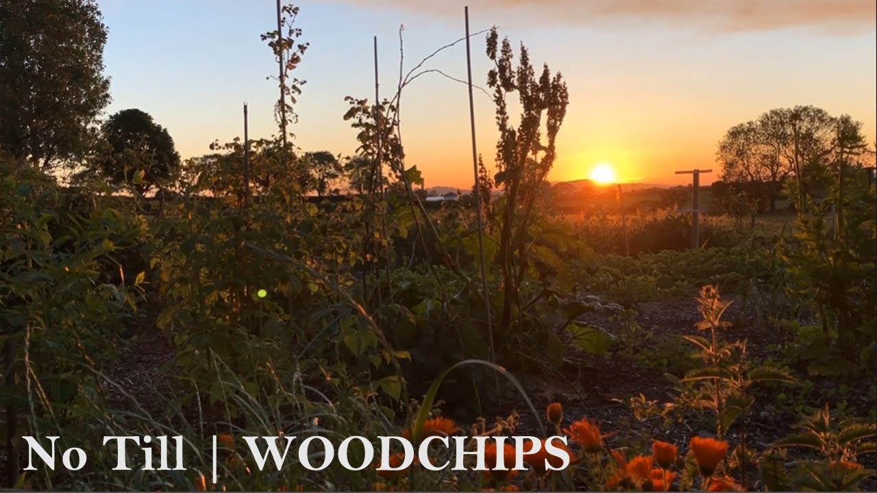 UK Permaculture Garden Tour   The Importance Of Woodchips