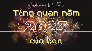 Tarot: Tổng quan năm 2023 của bạn🌞🌻 | chọn 1 tụ bài #tarot #tarotreading #1111 #boi