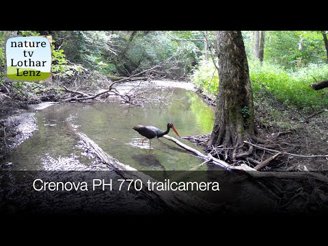 Crenova PH 770  trailcamera