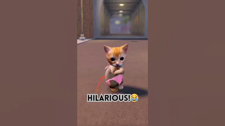 Video 11083911: mix kitten cat, cat kitten dancing, funniest cats