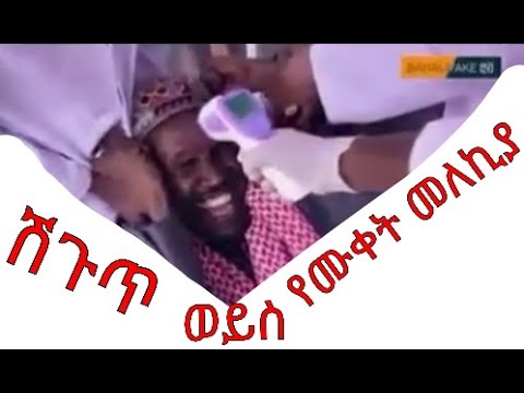 ቪዲዮ: ፋራናይት 451 ፊልም በኔትፍሊክስ ላይ ነው?