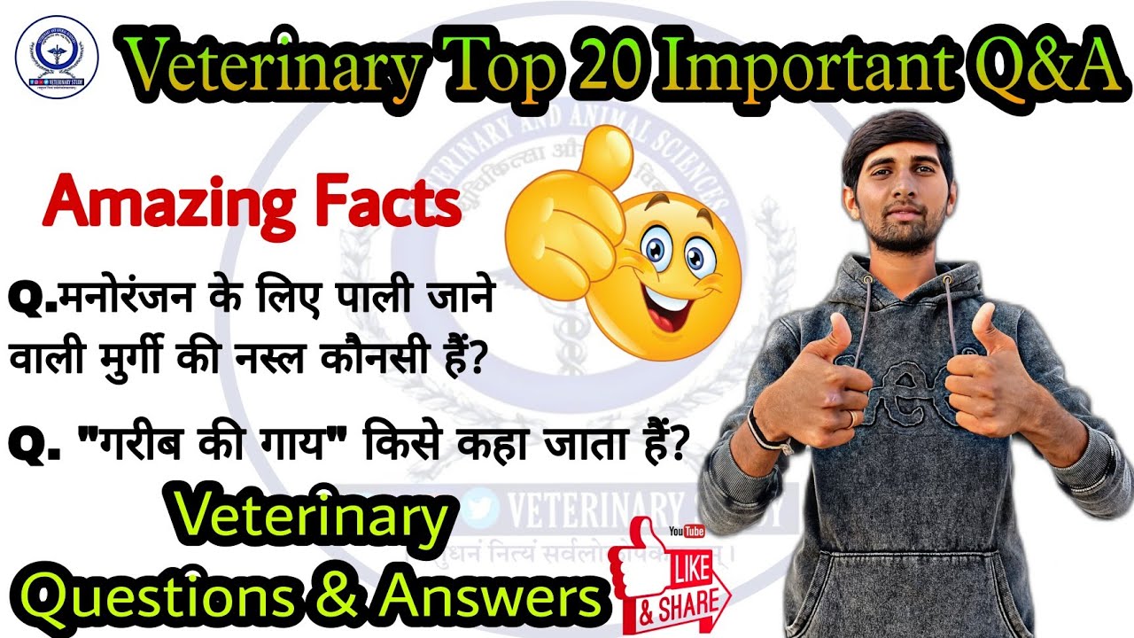 Veterinary Top 20 important Q&A || Veterinary All Exam Preparation Questions & Answers