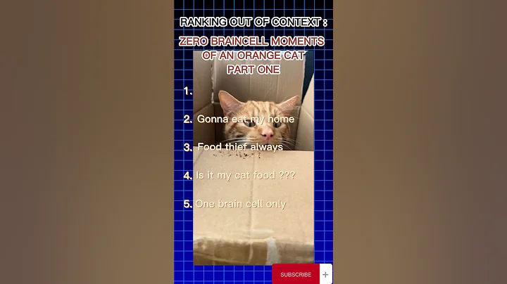 Watch the video about Most Hilarious One Brain Cell Orange Cat Moments 🐱 (Try Not to Laugh!) #adorablecats #funnycats