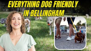 Everything Dog Friendly In Bellingham, WA | Bellingham Local living | Dani Colito