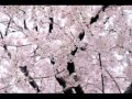 桜風YouTube1.wmv
