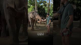 Все ответы нашей жизни #shorts #заработоквинтернете #деньги