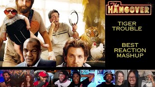 The Hangover: Tiger Trouble First Time Reaction Mashup