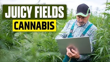 CANNABIS SECURITY FAILURES Revealed