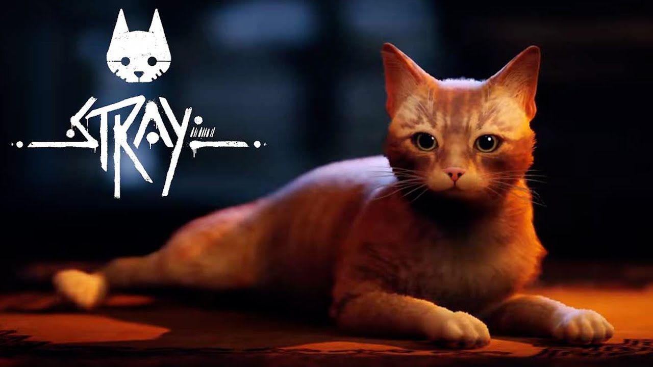 Stray, the game that's become a huge hit online, lets you explore