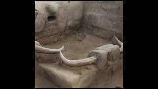 El significado de los bucráneos y la Diosa Madre en la primera ciudad del mundo, Çatalhöyük.  #short