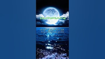 سورة العنكبوت) قران كريم تلاوة القارئ ياسر الدوسري #ياسر_الدوسري #قران #القرآن_الكريم #قران_كريم