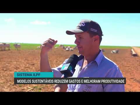 Métodos sustentáveis podem gerar mais receita para produtores | Canal Rural