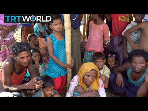 Rohingya Refugee Crisis:
