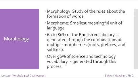 Lecture: Morphological Development