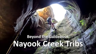 Ozcanyons - Beyond The Guidebook - Nayook Creek Tributaries