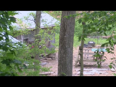 Animal Cruelty Charges