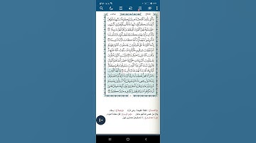 سورة النساء اية(١٩)