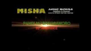 MORO SONG : BY: PANDI NU BANGSAMORO 2015