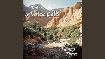 Ivdu (feat. Fran Avni)