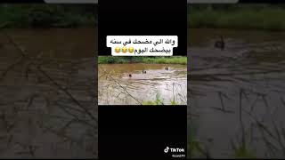 كل شوي اعيد المقطع واضحك