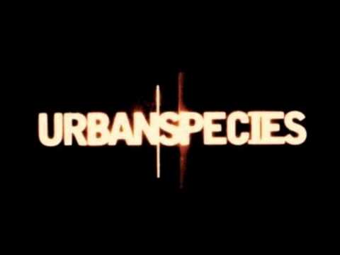 urban species musikism