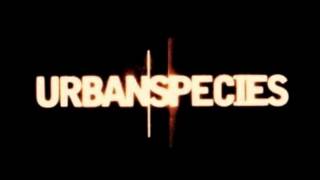 urban species musikism