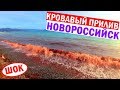 Что Происходит? Чёрное море | Красные приливы | TOXIC !!!