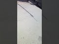 ديديو مضحك جدا ههههه ديديو مضحك جدا ههههه