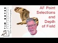 AF Point Selections and Depth of Field  -- For Bird Photographers