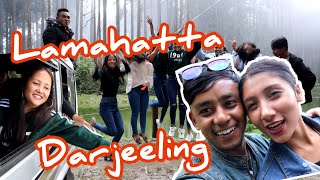 ROMANTIC PLACE IN DARJEELING | LAMAHATTA | A DAY WITH MY COUSINS | TRADITIONAL DRINK IN DARJEELING |
