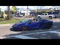 Ferraris on the circlecar show in sarasota fl