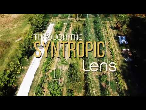 Belonging