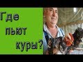 Как содержать кур зимой?  Зимние поилки