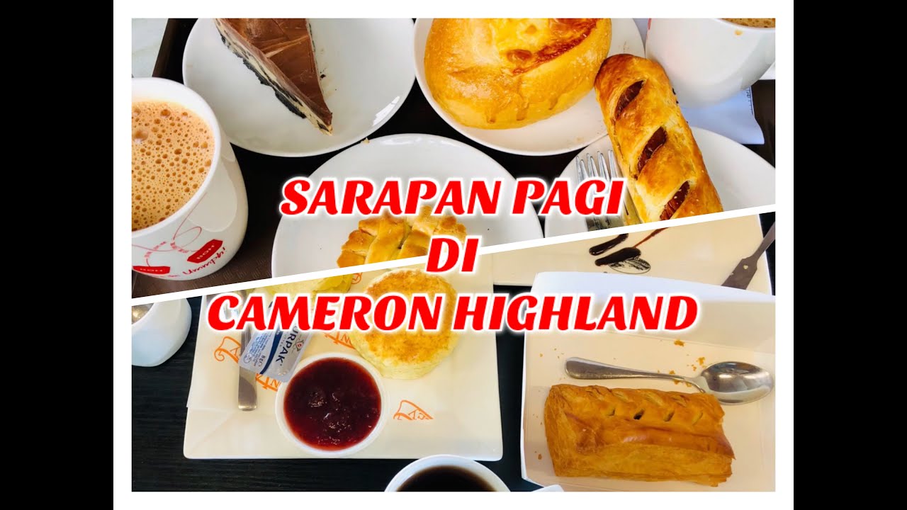 Cameron Highland I Kerja Gila Sarapan Pagi Di Cameron Highland Ep L 22 Youtube