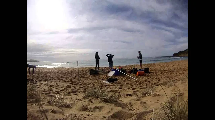 coastal fieldwork 2014