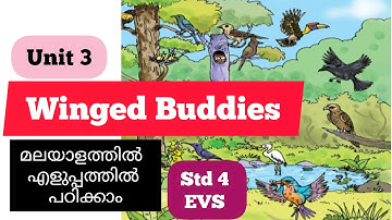 Winged Buddies- Malayalam explanation and activities /Unit 3 /Class 4 EVS/ENGLISH MASTER