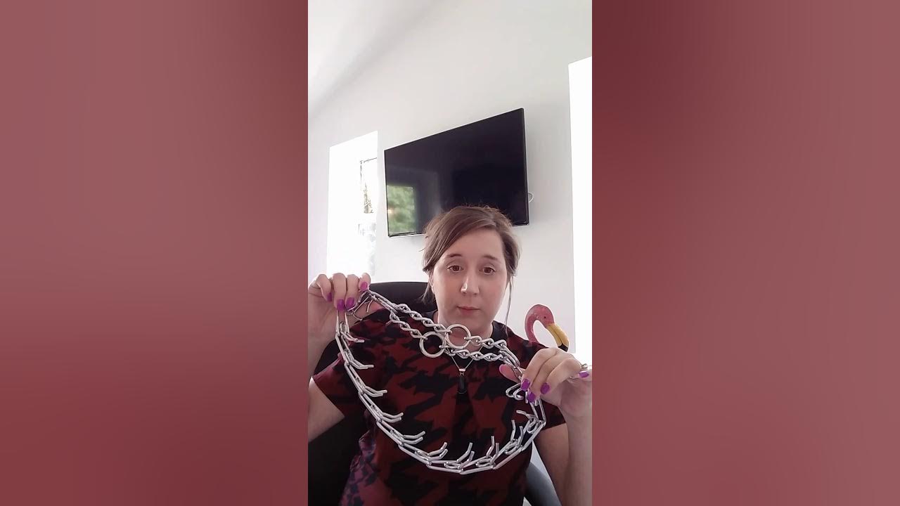 How to train a dog using a choke chain effectively STOP YOUR DOG