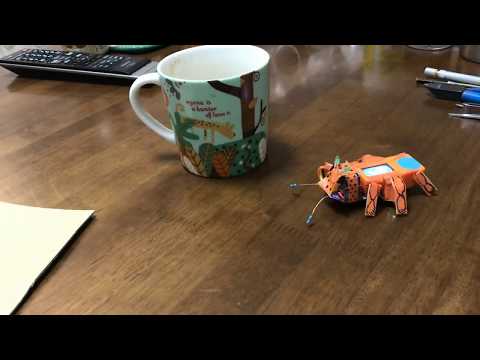 【M5stickc】虫のようなものを作ってみました