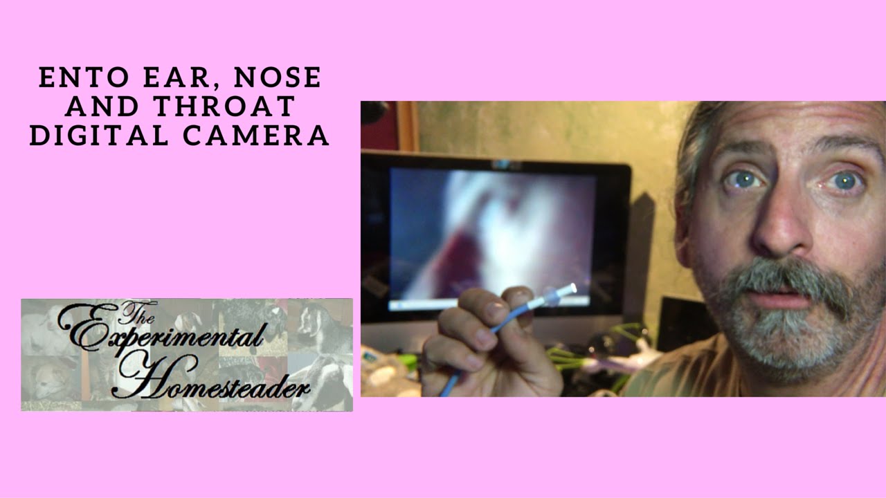 ENTO Ear, Nose and Throat Digital Camera YouTube