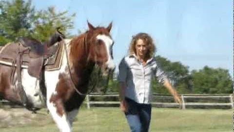 Valley View Ranch   - Simply Sparky -   ***For info, price, etc., go to our website***