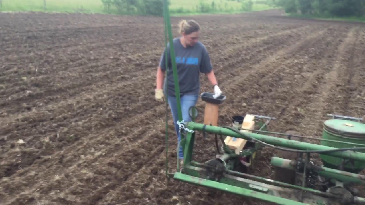 Planting Pumpkins - Pin Oaks Farm Pumpkins