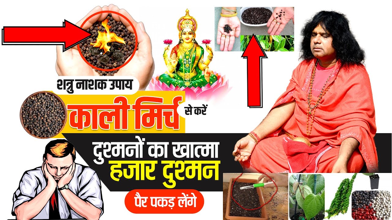 (शत्रु नाशक उपाय )काली मिर्च से करें दुश्मनों का खात्मा, हजार दुश्मन पैर पकड़ लेंगे