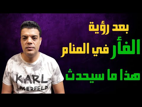 بعد رؤية الفأر في المنام هذا ما سوف يحدث لو رأيت الفأر في المنام تفسير حلم الفأر في الحلم