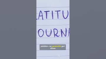 Turned Off Notifications for 24 Hours— 2025 10 27