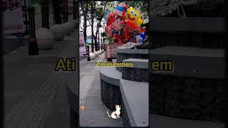 Download Lagu Ojo podo nelongso - Story wa MP3